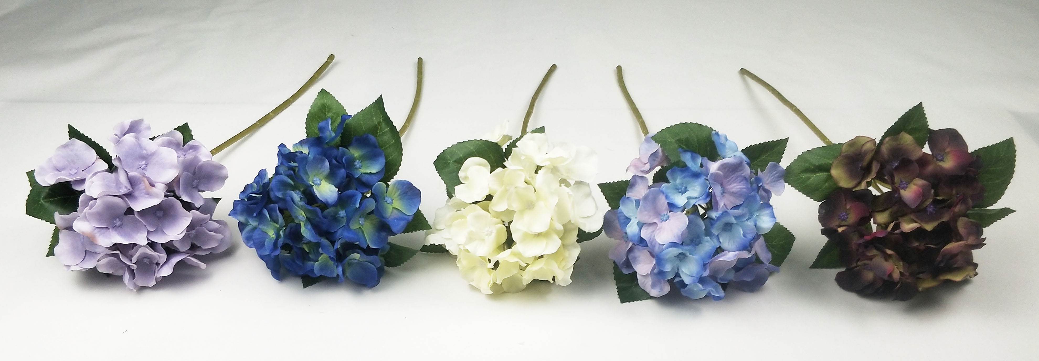 Small single hydrangea