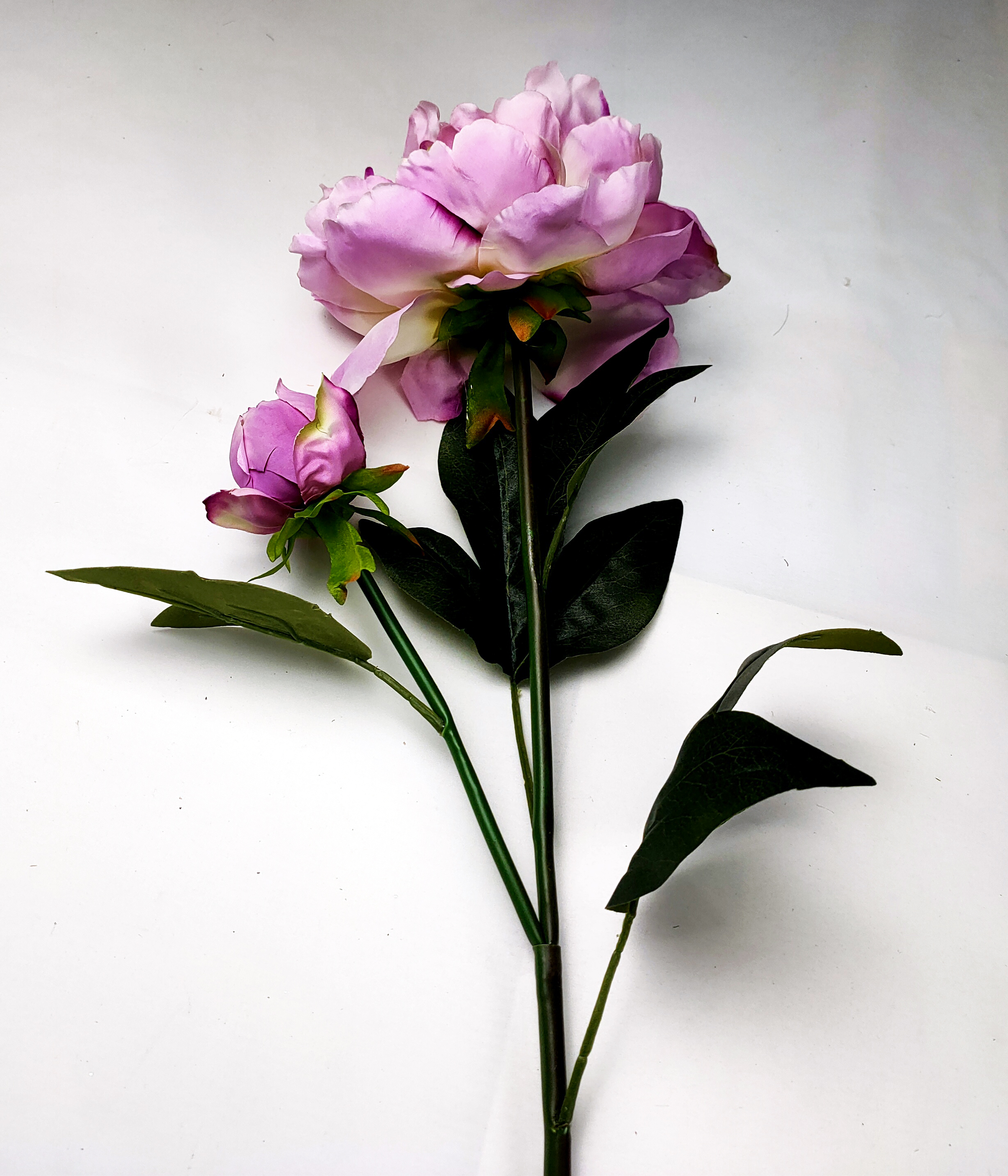 Peony-2T