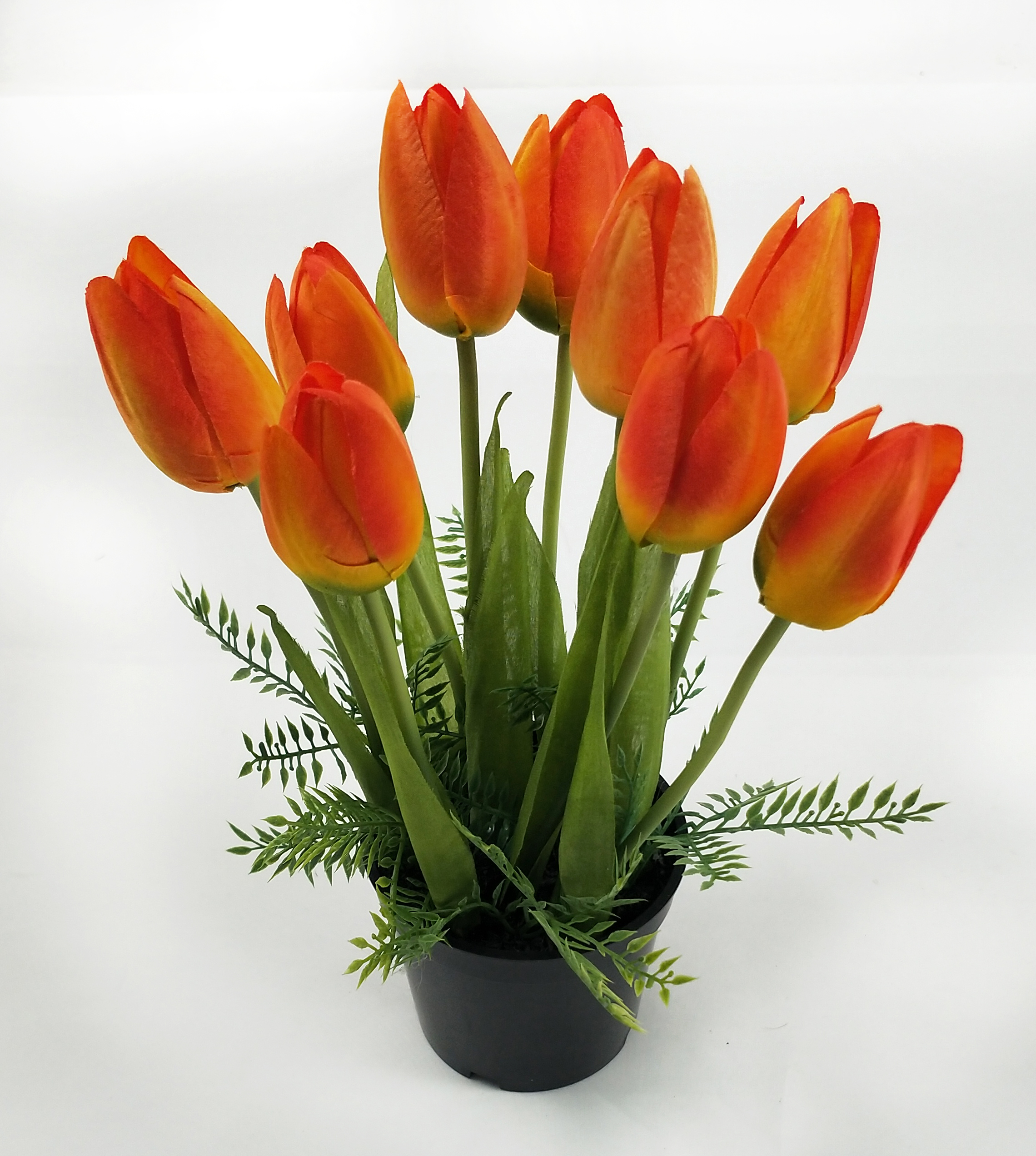 Tulip pot