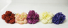Small chrysanthemum bouquet-6T