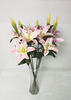 Lily