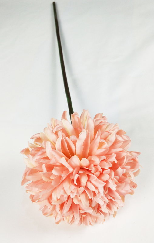 Chrysanthemum ball