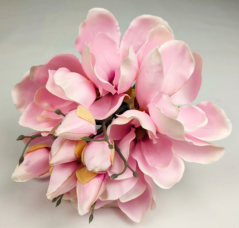 Bunch of 6 magnolia flowers