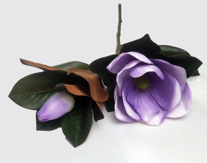 2 Forks big magnolia