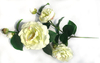Camellia-7T