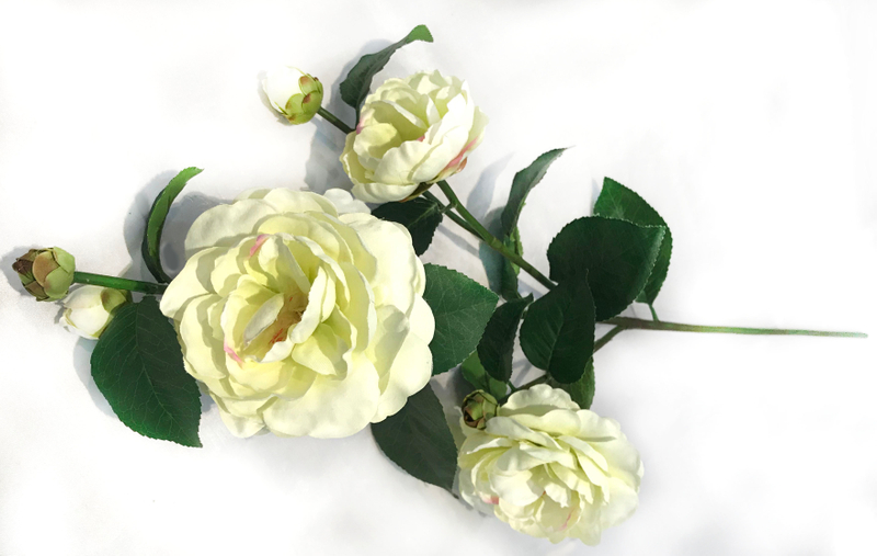 Camellia-7T