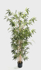 190cm Bamboo
