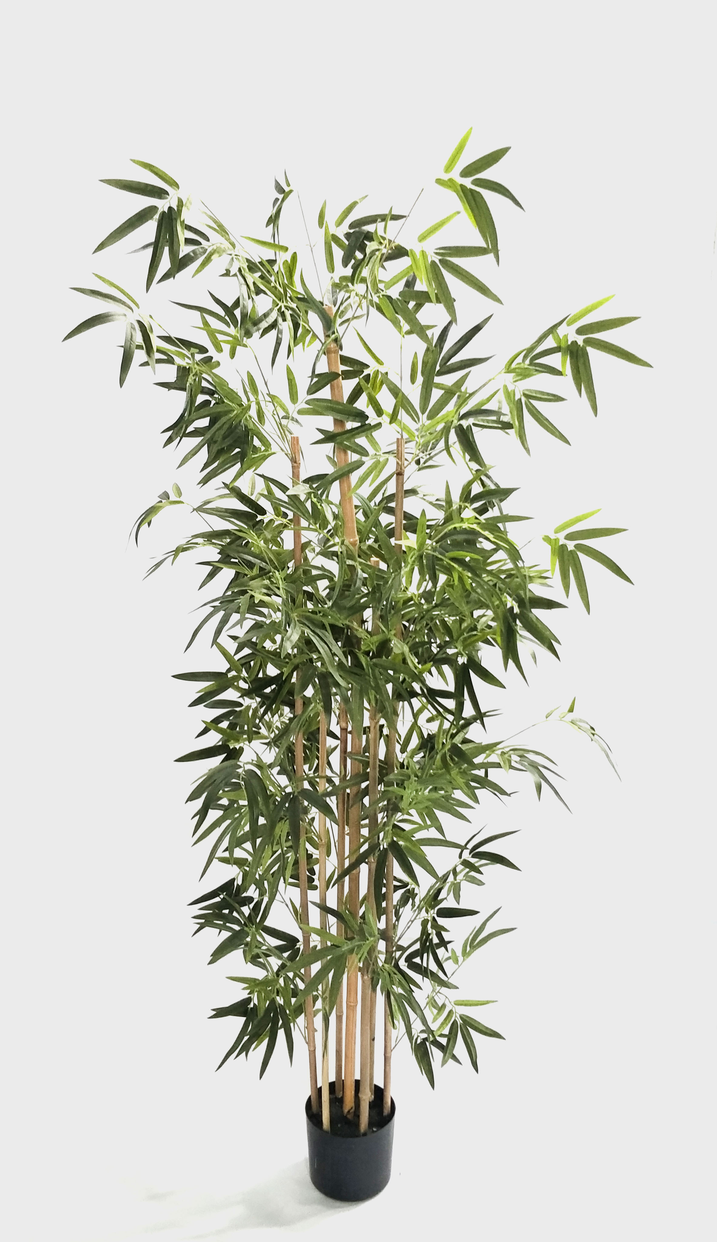 190cm Bamboo