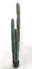 155cm Columns Cactus