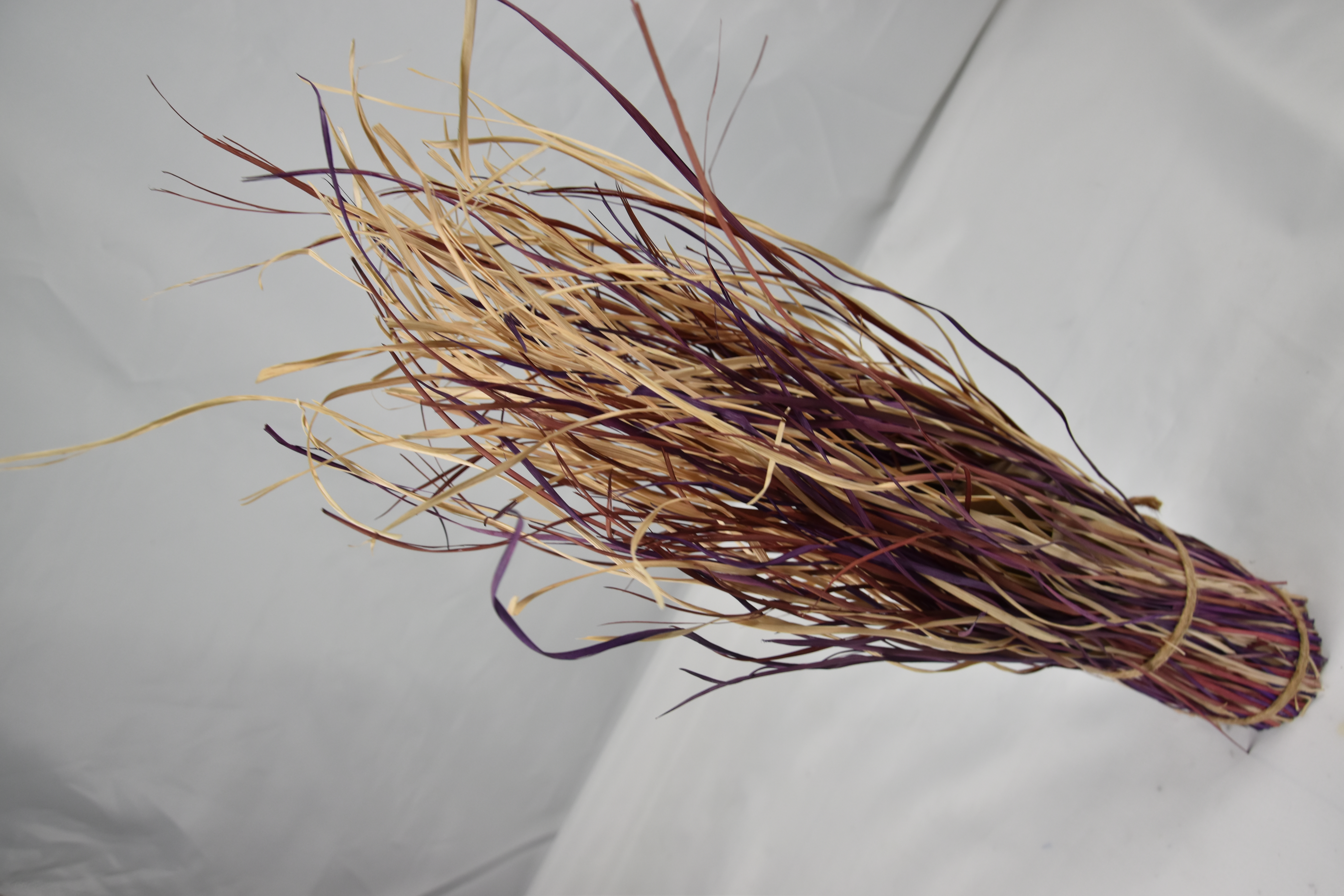 Chinese Iris