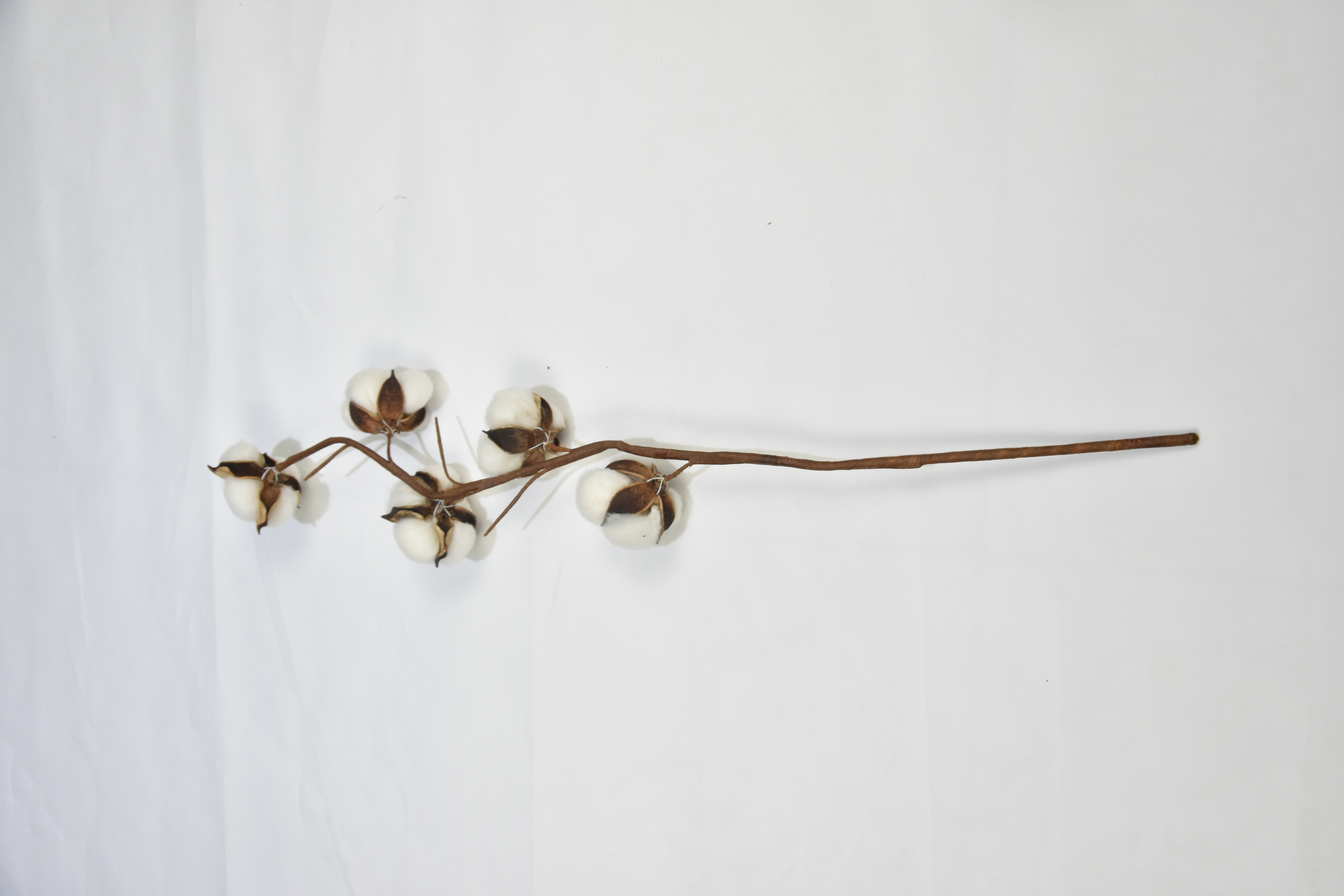 5T-Cotton