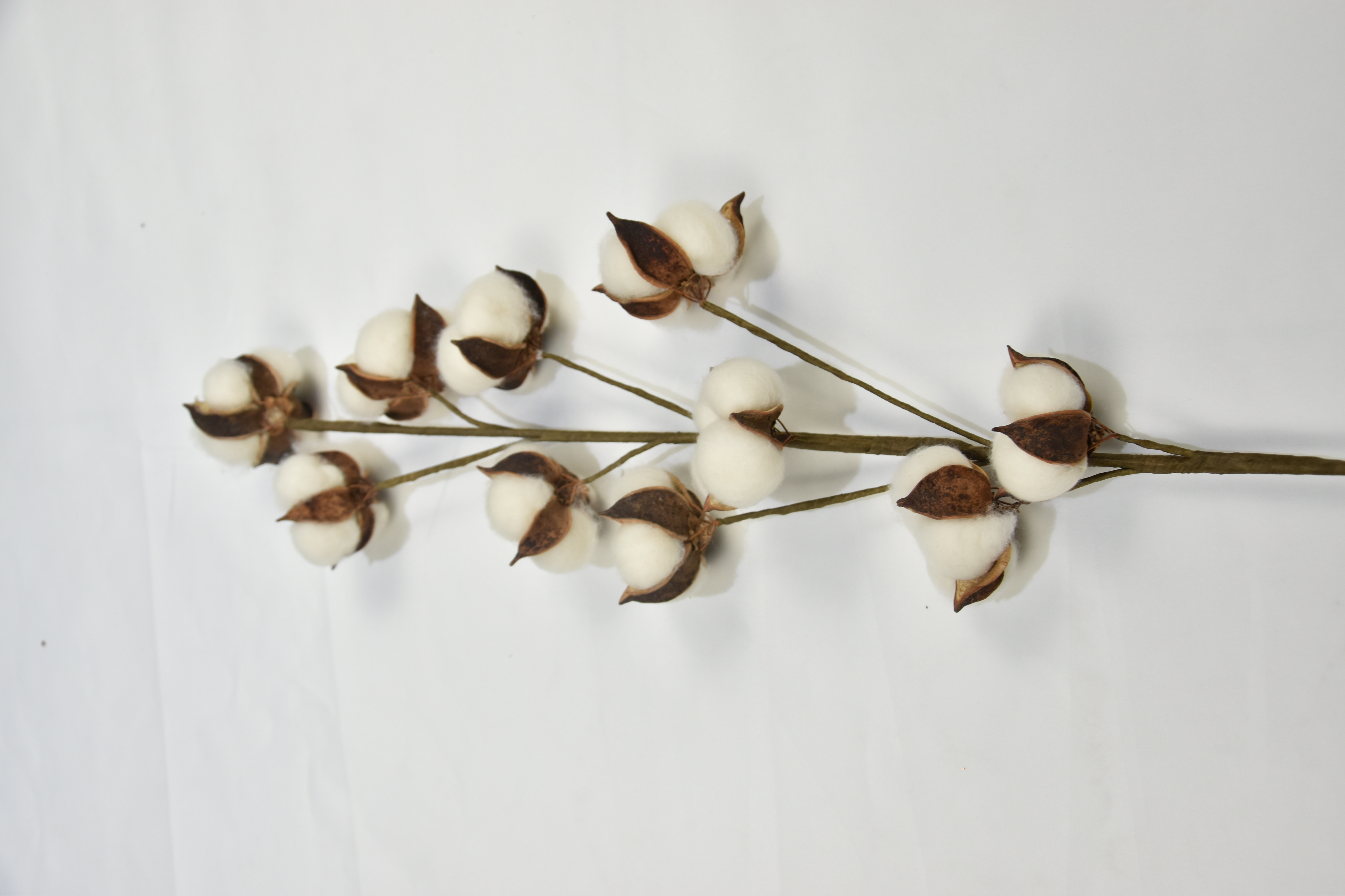10T-Cotton