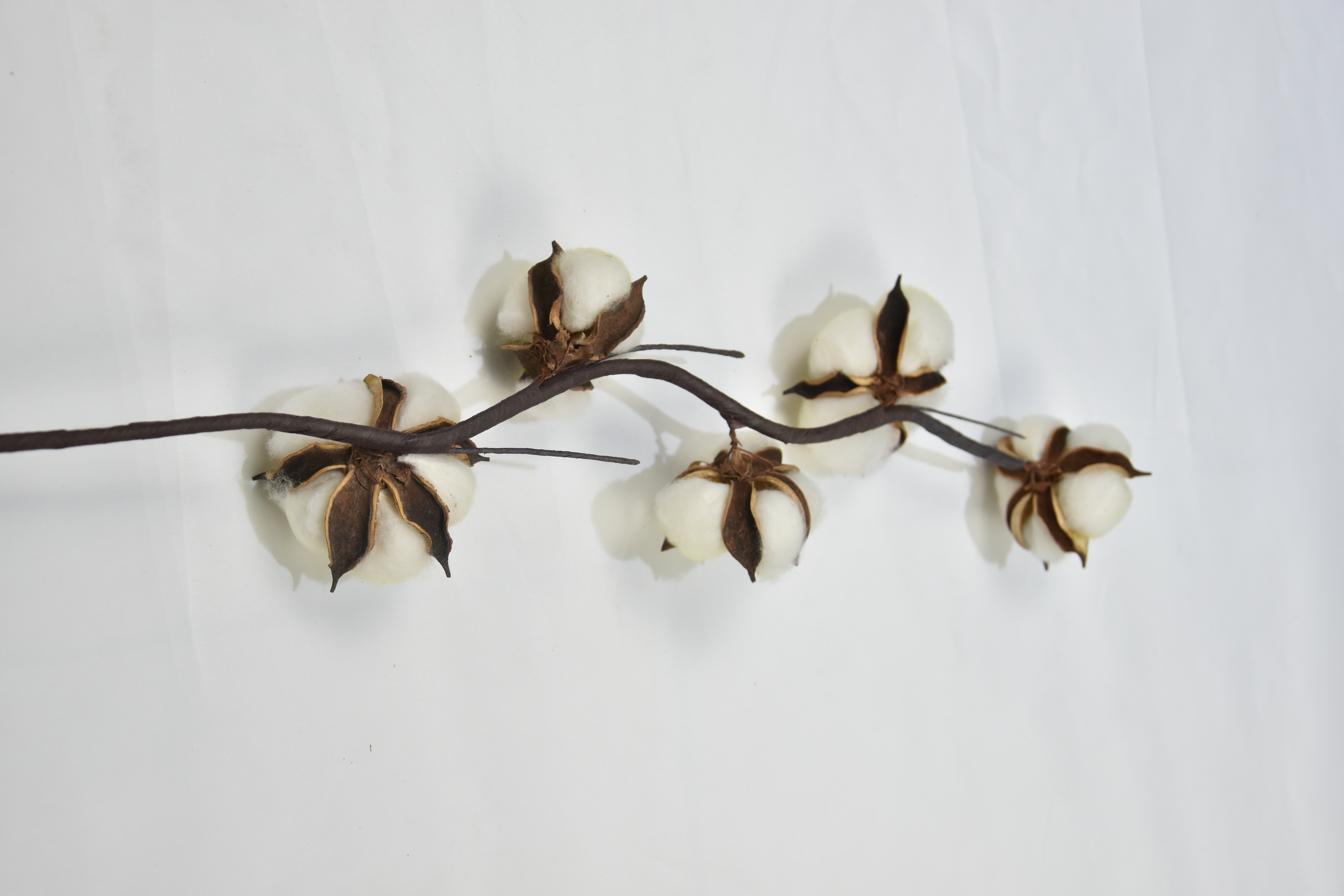 5T-Cotton-Yellow