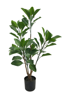 80cm Protea Cynaroides