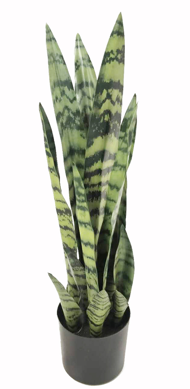 57cm Abram Tiger