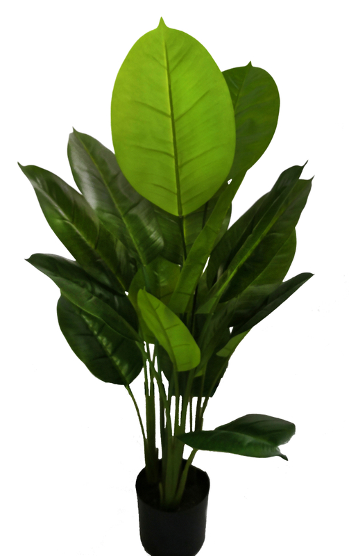 90cm Scindapsus