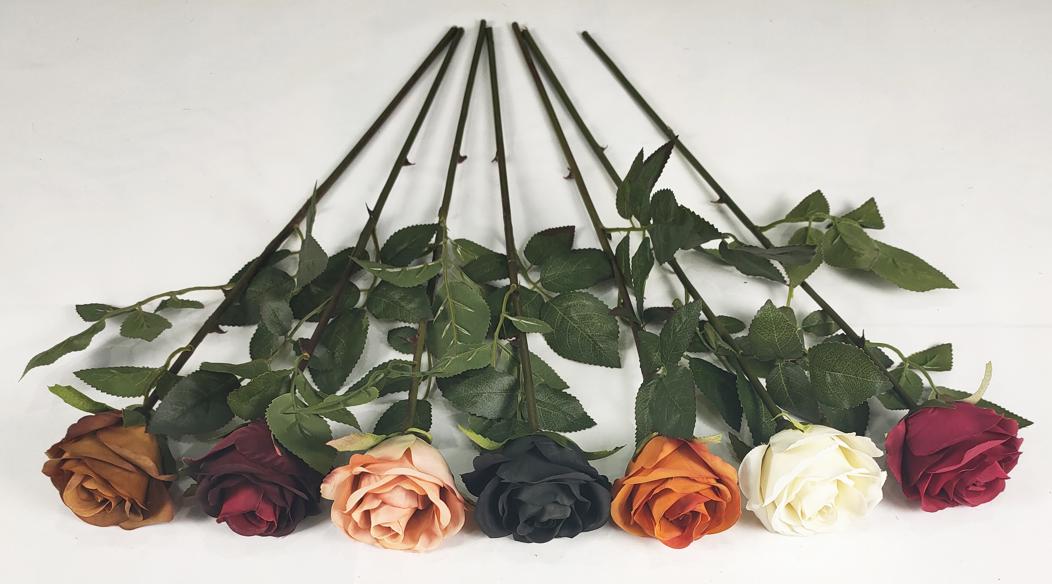 A Single New Rose