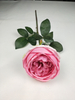 English Rose