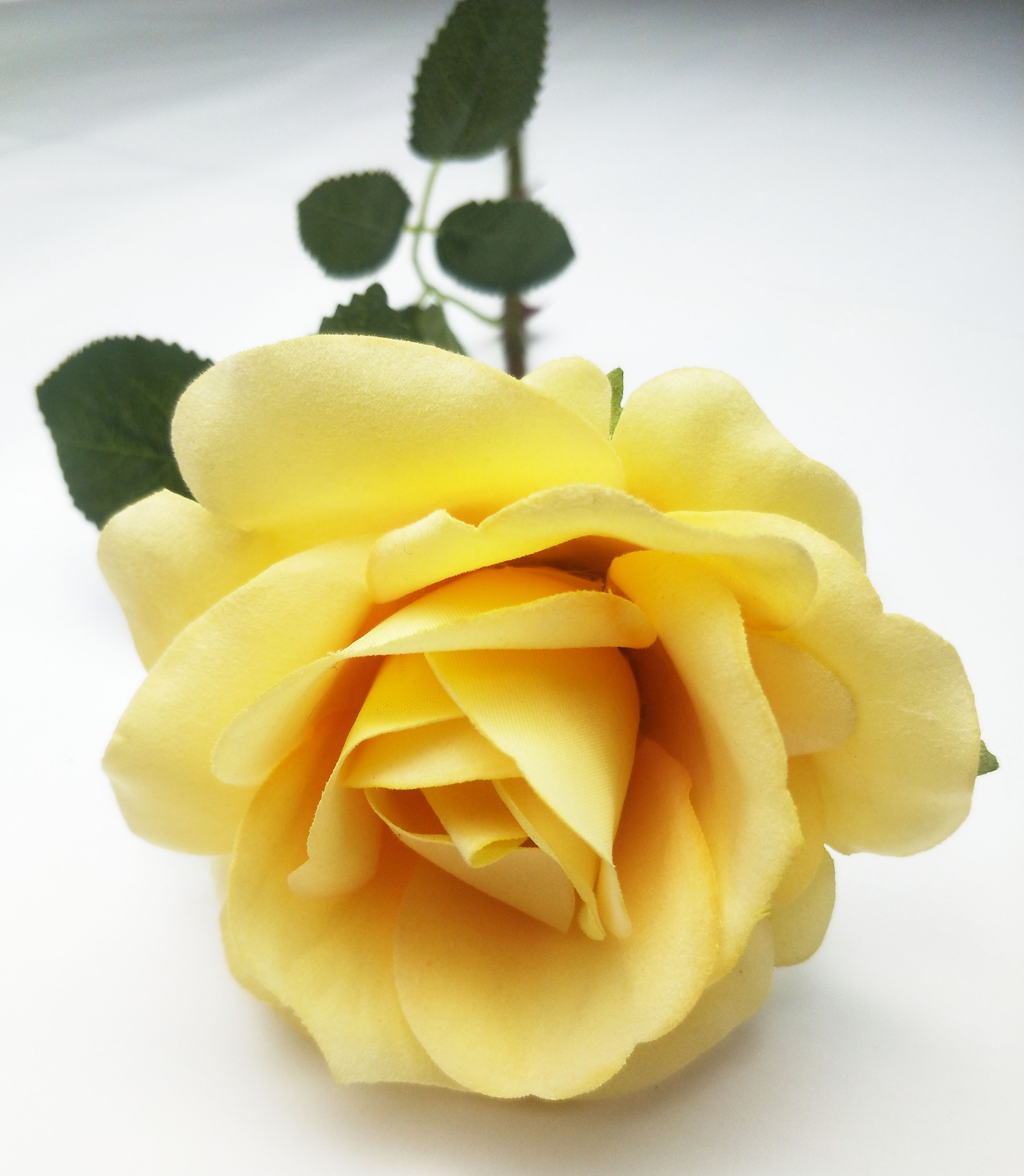Single Middle Round Rose