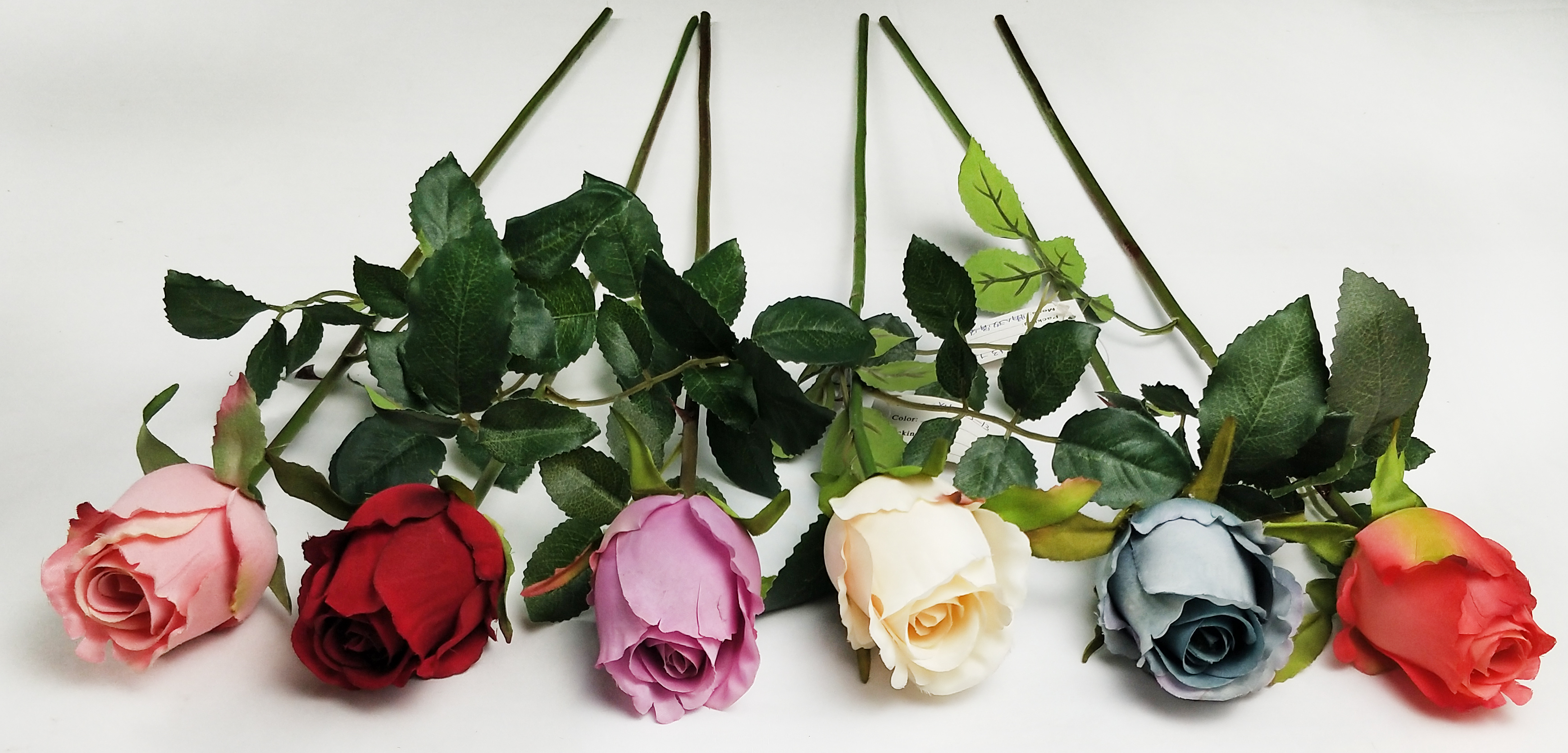 Rose Bud of Single Lover