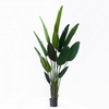 210cm Giant Bird of Paradise