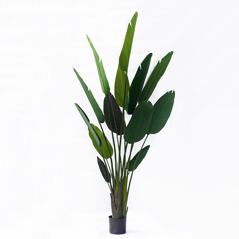 210cm Giant Bird of Paradise