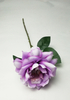 Single branch Chinese rose