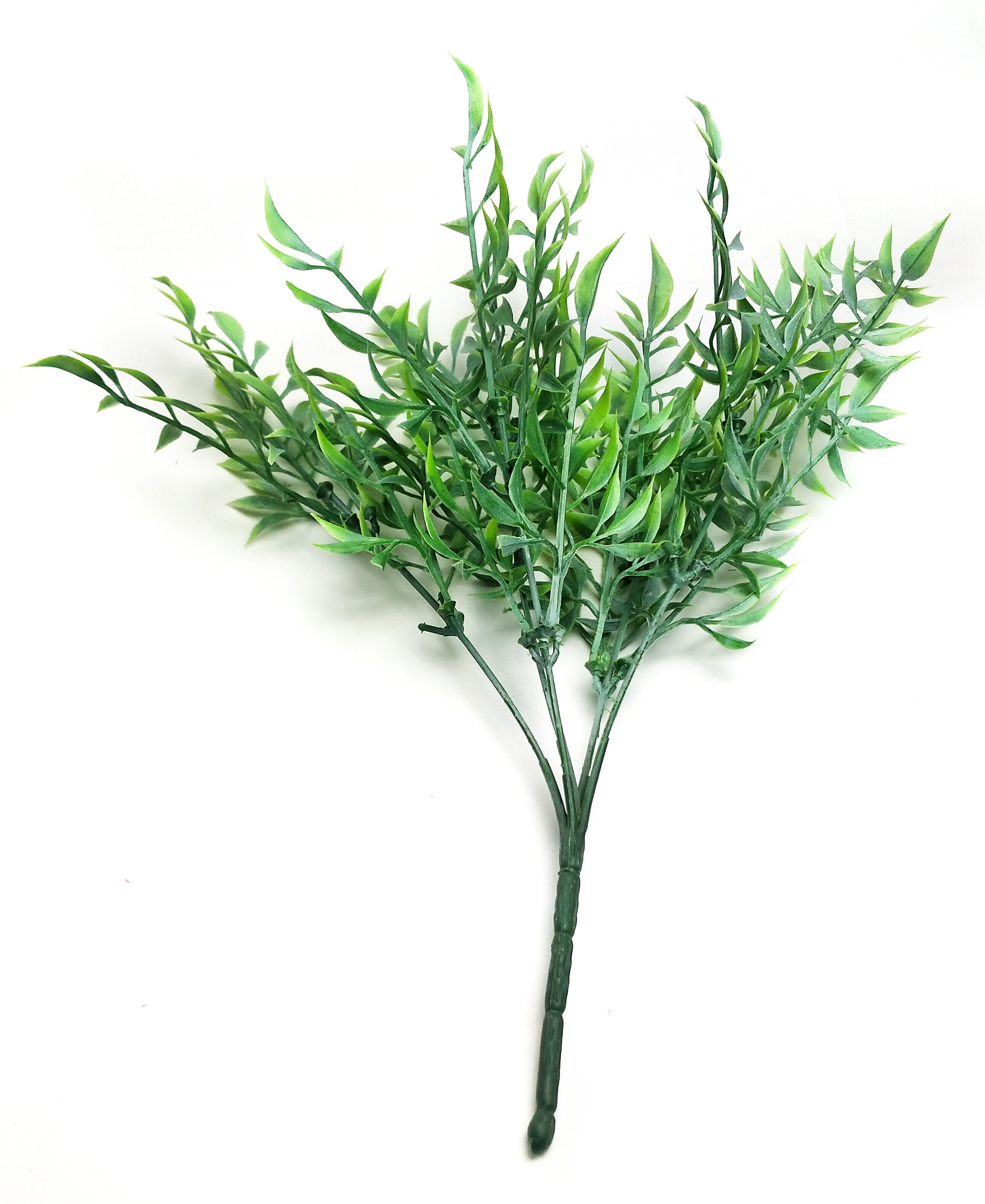 Small leaves