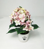 Hydrangea pot-2C