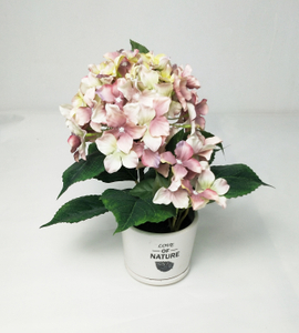 Hydrangea pot-2C