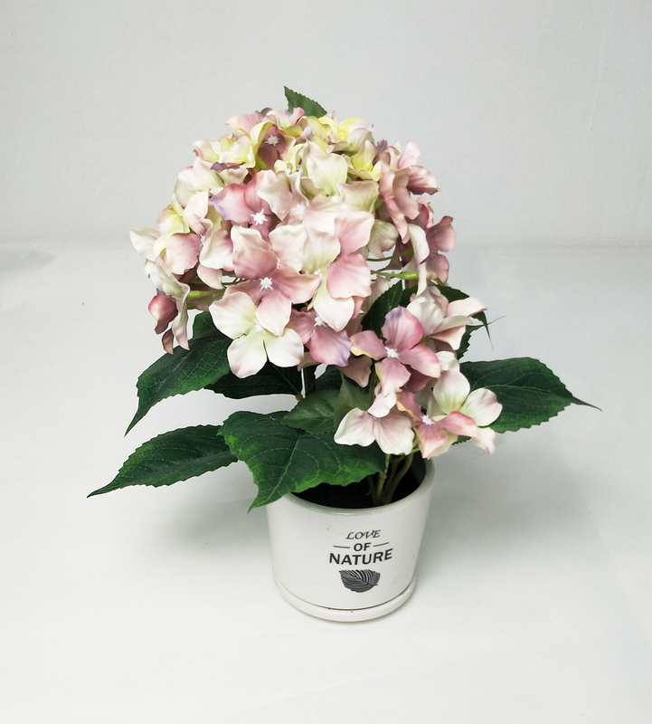 Hydrangea pot-2C