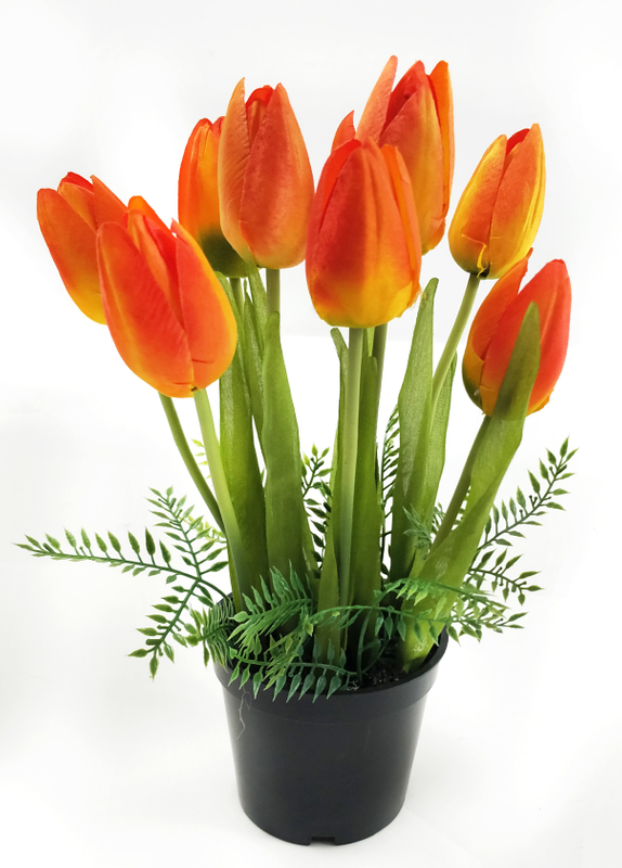 Tulip pot