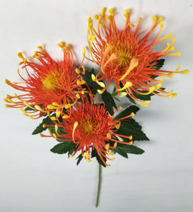 Plastic chrysanthemum-3T