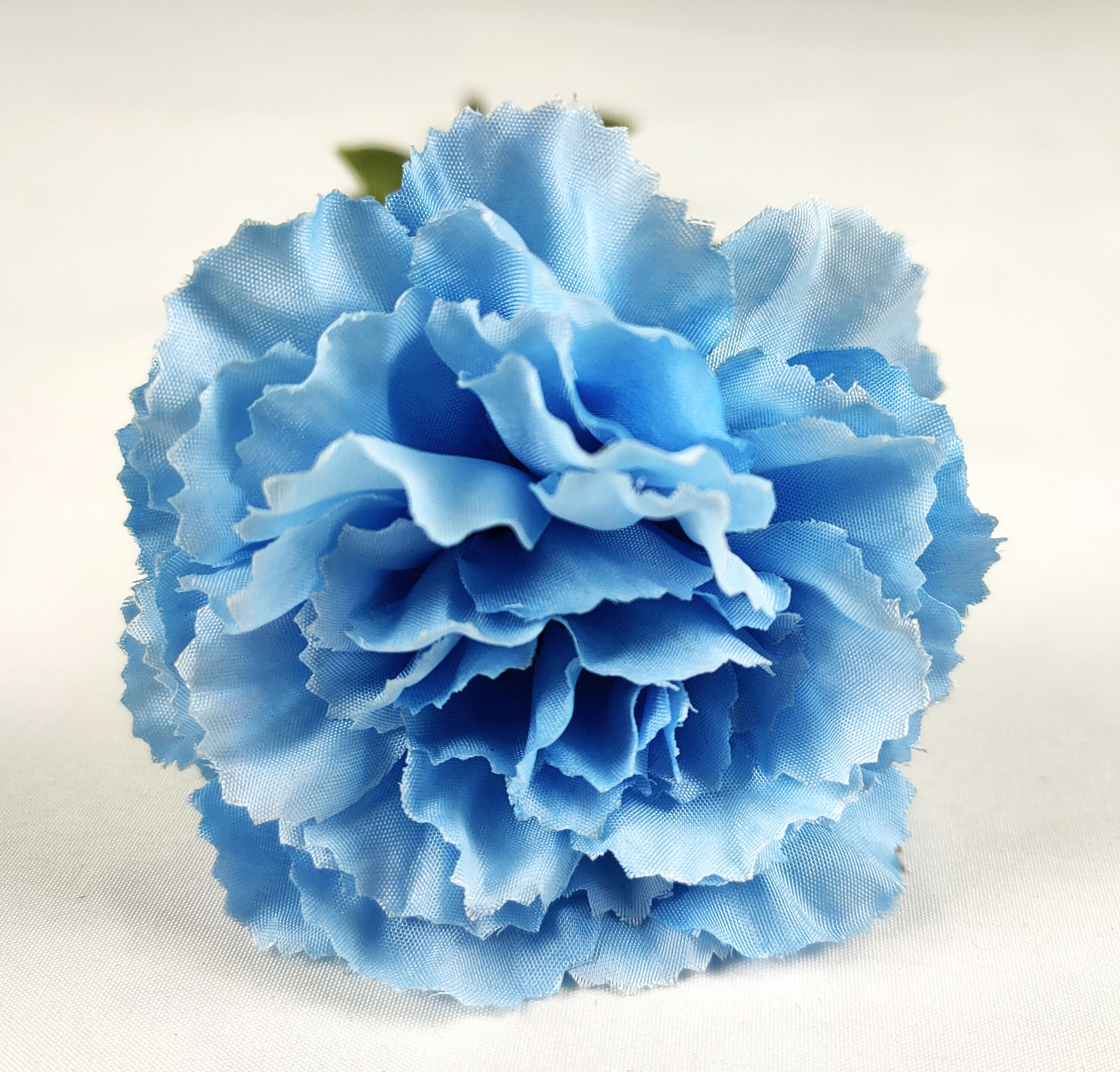 Carnation