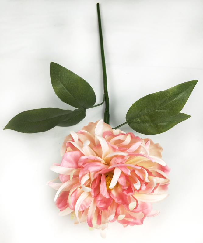 Small single chrysanthemum peony