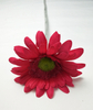 Single gerbera