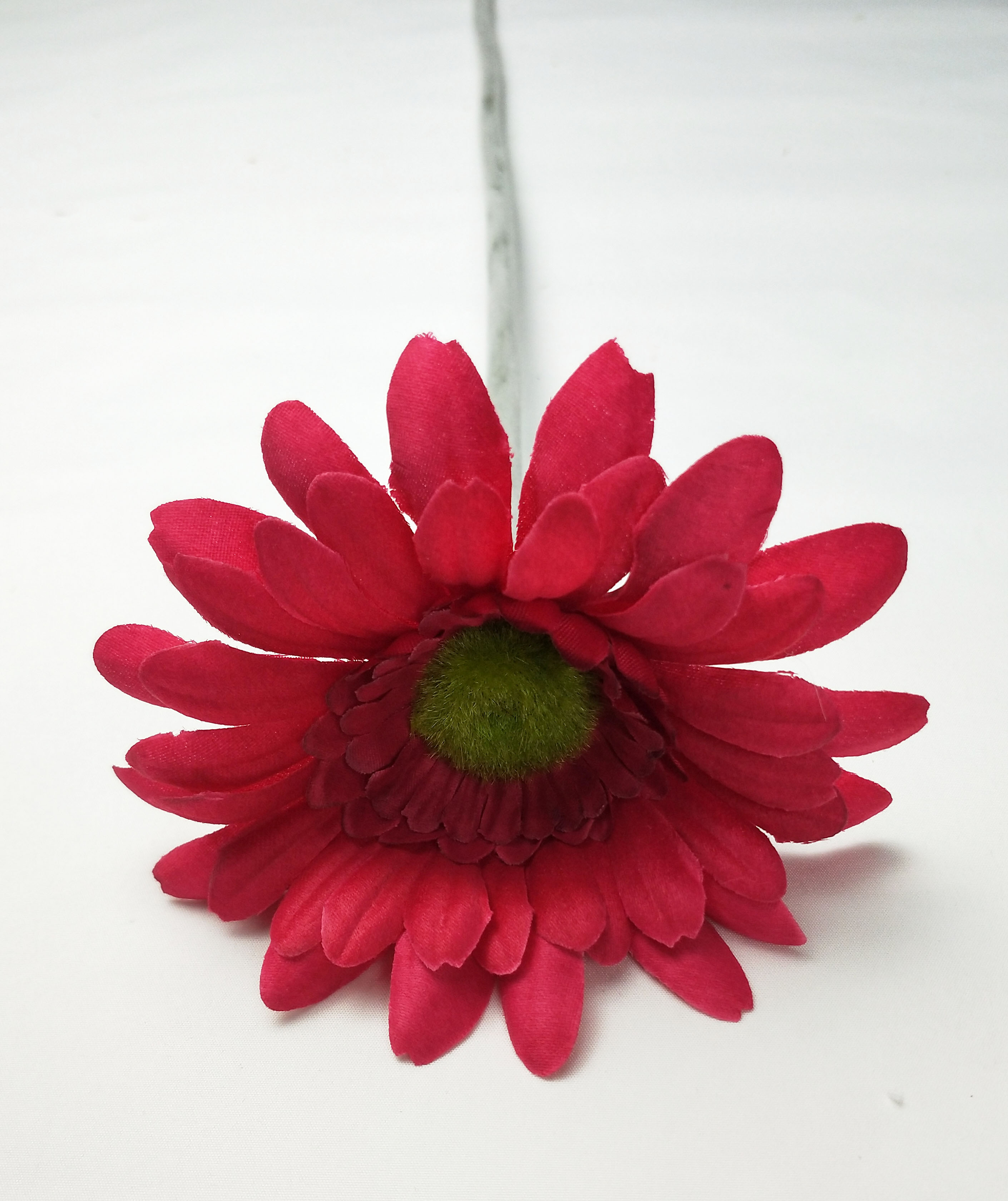Single gerbera