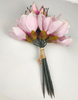 Bunch of 6 magnolia flowers