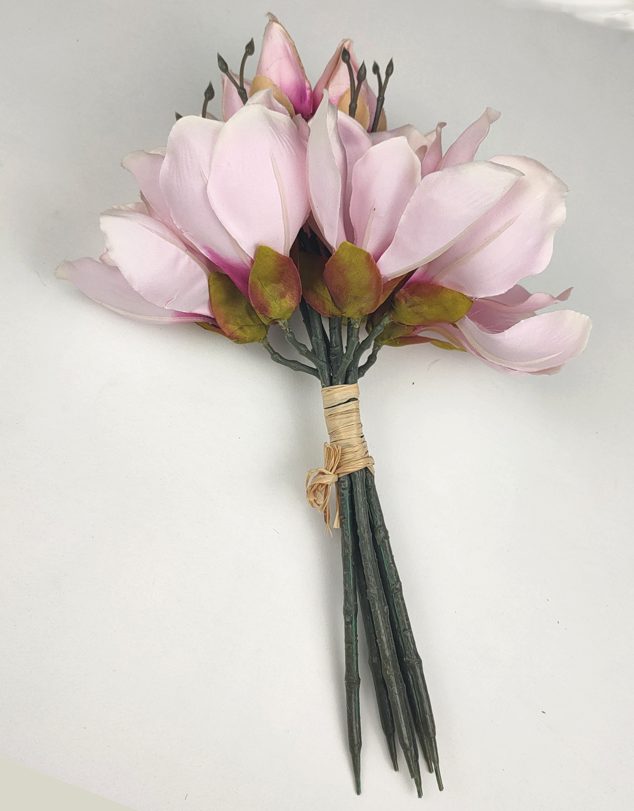 Bunch of 6 magnolia flowers