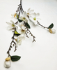 4 Forks small magnolia