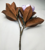 2 Forks big magnolia