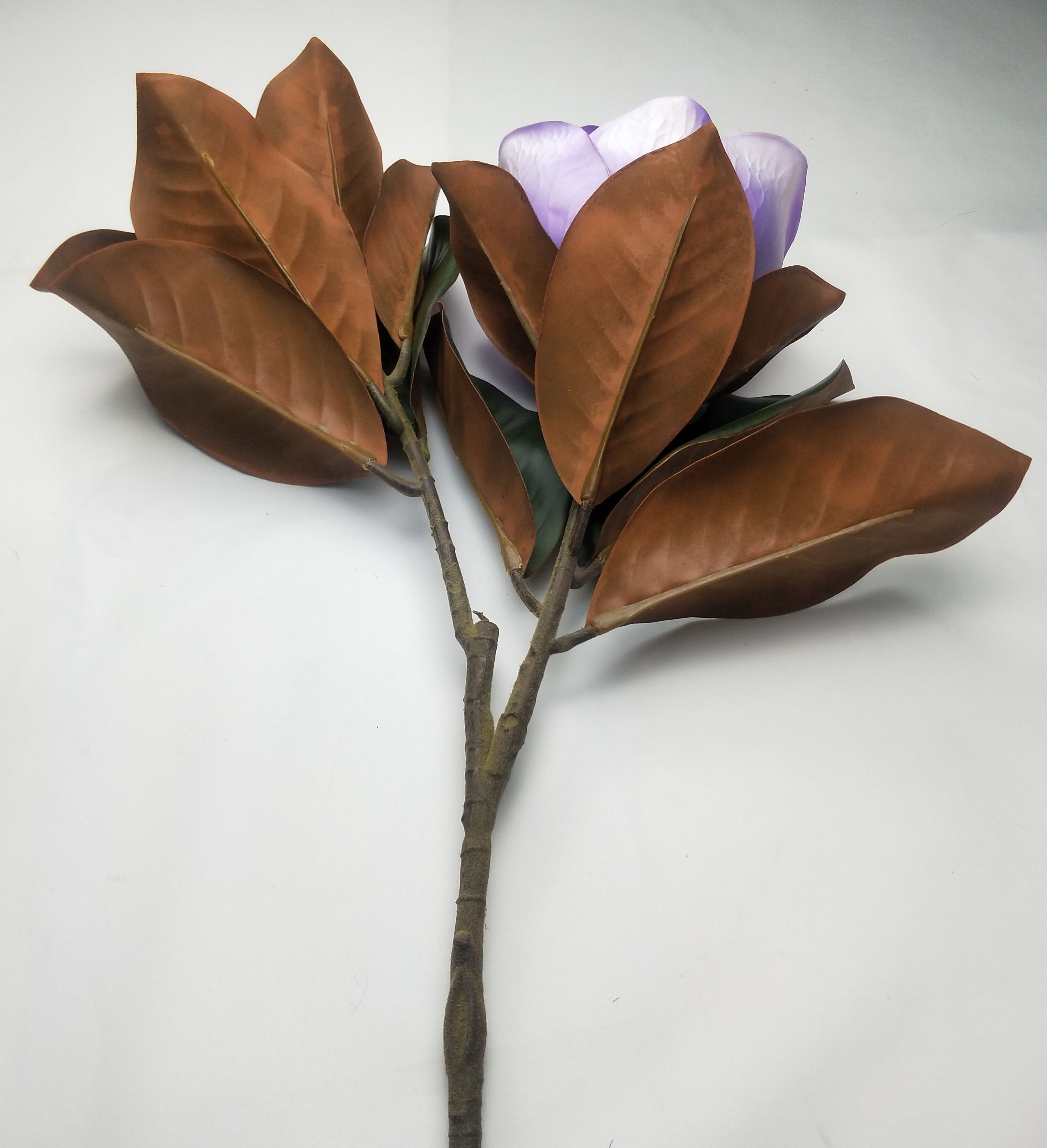 2 Forks big magnolia