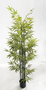 190cm Bamboo
