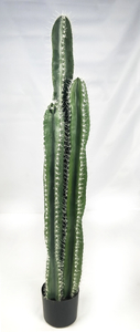 130cm Columns Cactus