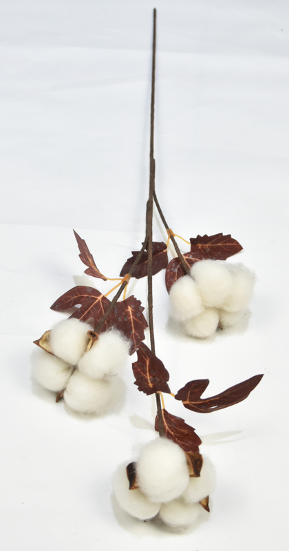3T-Cotton