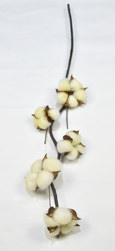 5T-Cotton-Yellow