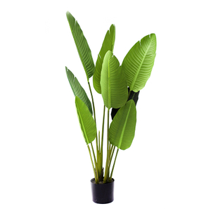 120cm Giant Bird of Paradise