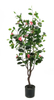 120cm Ficus with Flowers