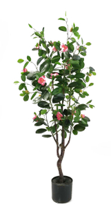 120cm Ficus with Flowers