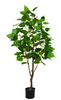 140cm Silver Birch